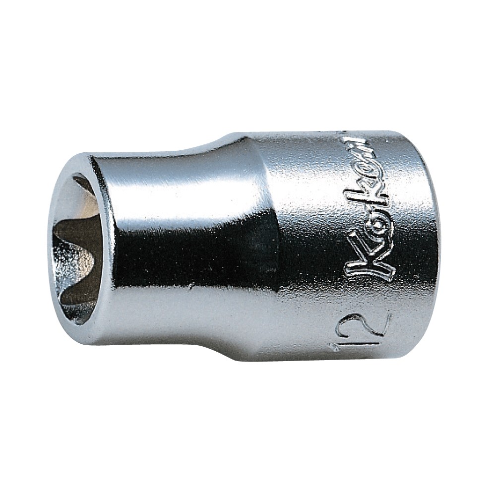 Socket 3/8 Inch Drive Torx E11