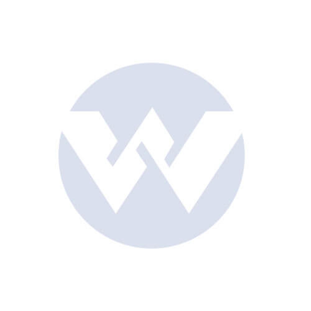 BEARING 6202ZZ/Z2 FOR INOX60S2 S/S JET PUMP BIA-INOX60S2-21