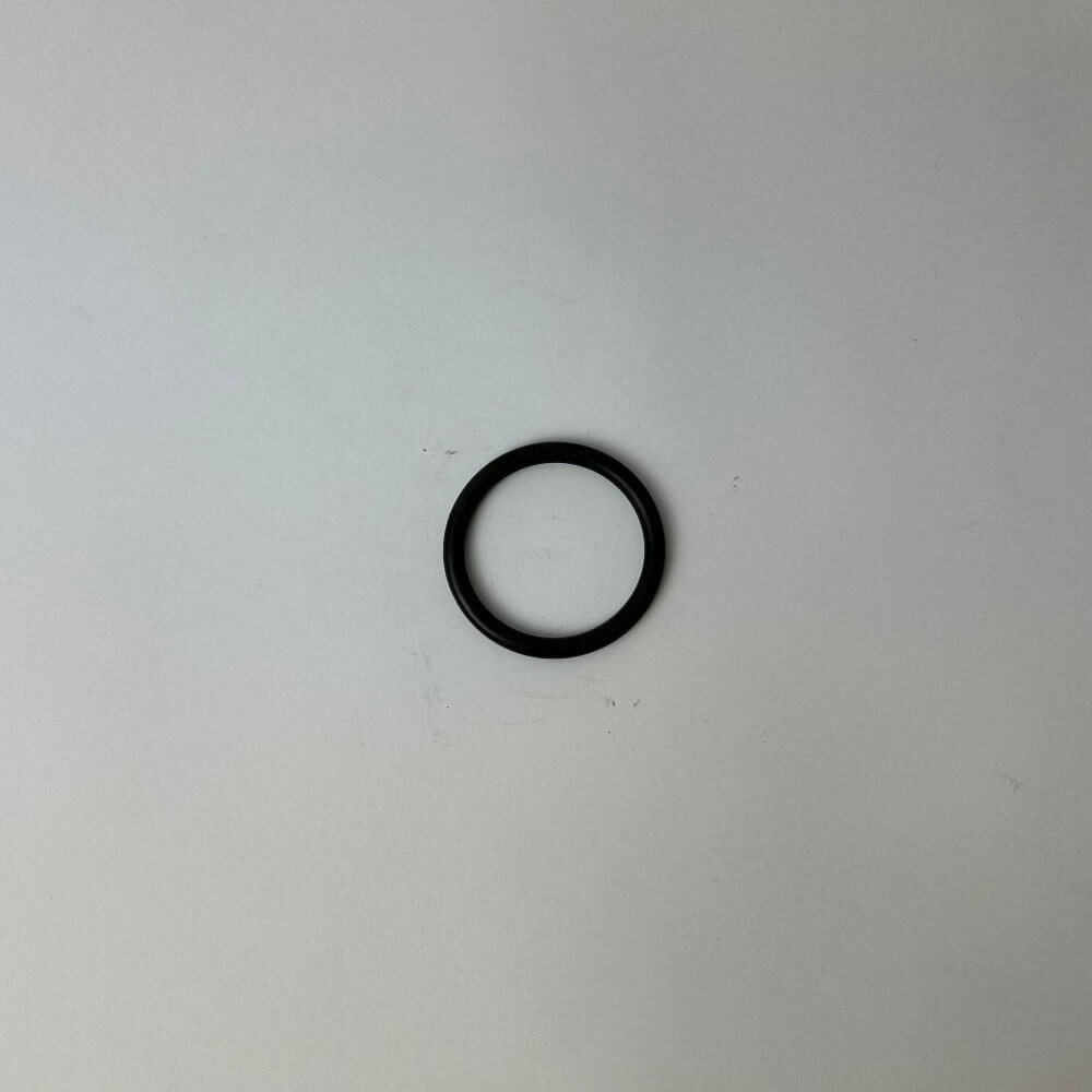 [160-BIA-WP10-20] BIA WP10 20 O-RING 42 X 4.15 BIA-WP10-20