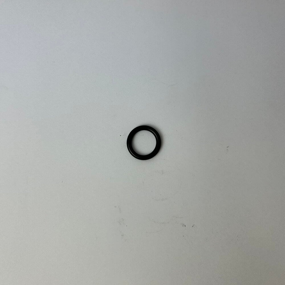 BIA WP10 22 O-RING 15.8MM X 3.1MM BIA-WP10-22