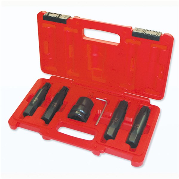 301983 Insert Bit Socket Set - Torx 6 Pc.