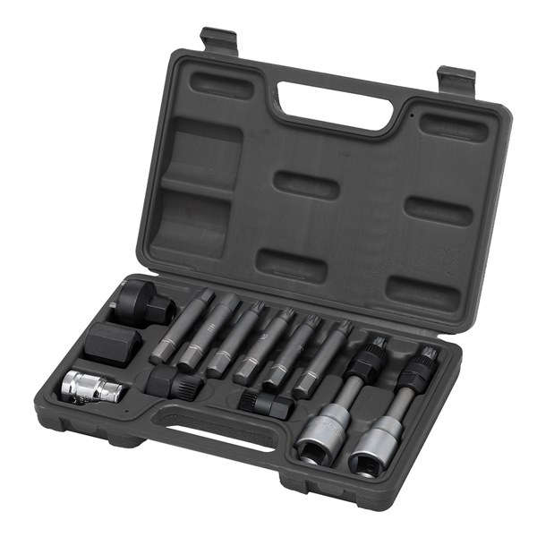 302005 Alternator Bit Set - Universal