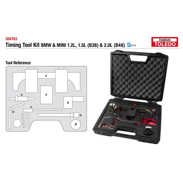 [180-304763] TOLEDO TIMING TOOL KIT
