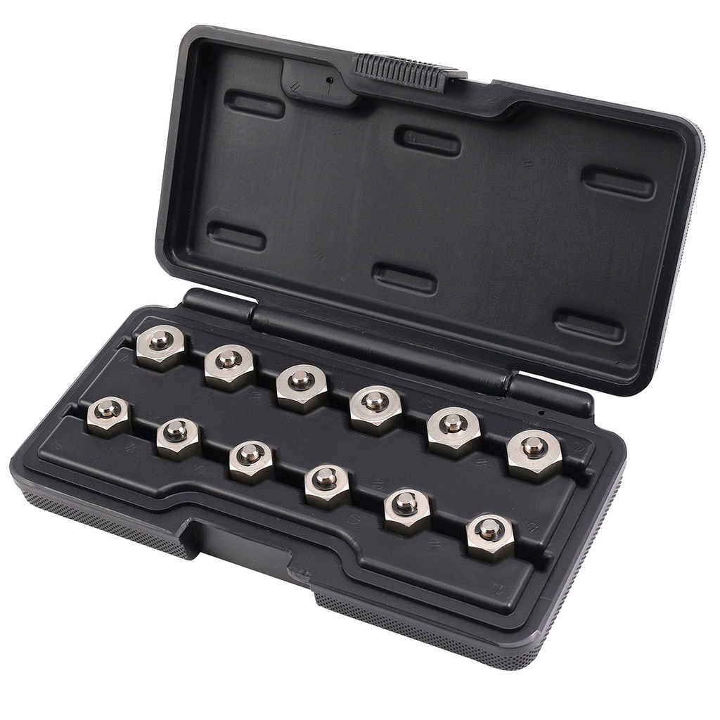 [180-307351] TOLEDO DIESEL INJECTOR CAP NUT SET 12PC