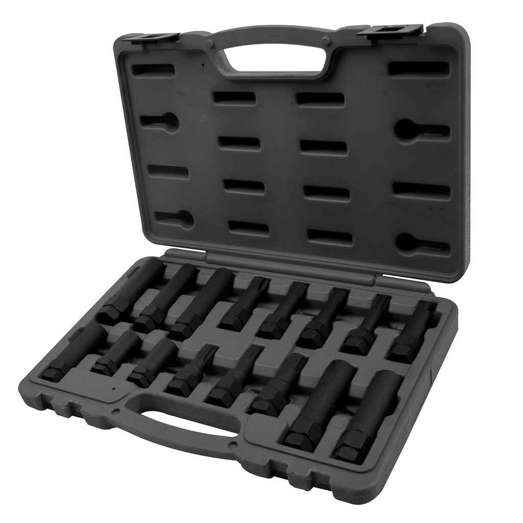 [180-309249] 309249 Wheel Lock Socket & Bit Master Set - 16 PC.