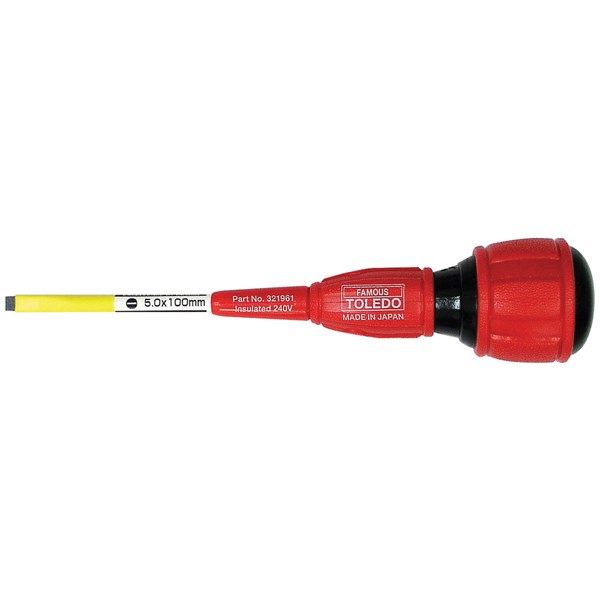 321961 Elec Strike-Thru Slotted 5.0 x 100mm