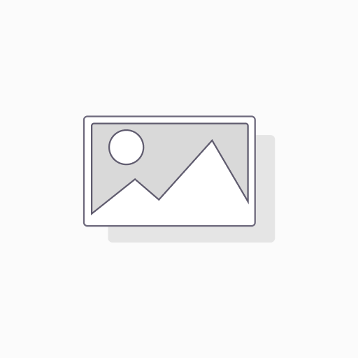 SYKES ELECTRONIC THERMOMETER/TEMP.PROBE