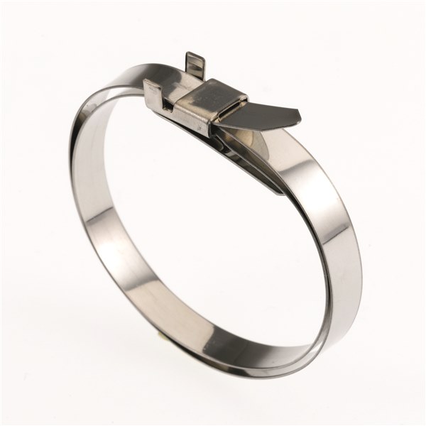 CV680-20 CV Boot Clamp - Pack