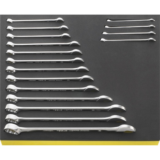 [160-96830164] Spanner Combo Metric Set 17pc #13 6-24mm Tcs Foam - 96830164 SW13/17 Tcs