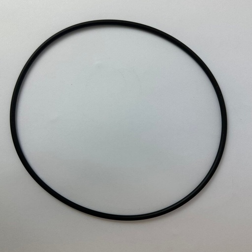 [160-BIA-WP10-15] BIA WP10 15 O-RING 159MM X 4MM   BIA-WP10-15