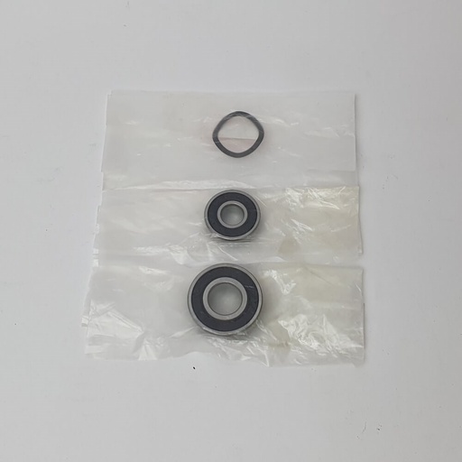 [160-BIA B42AC BEARING KIT] BIA B42AC BEARING KIT 28  29  31 BIA B42AC BEARING KIT