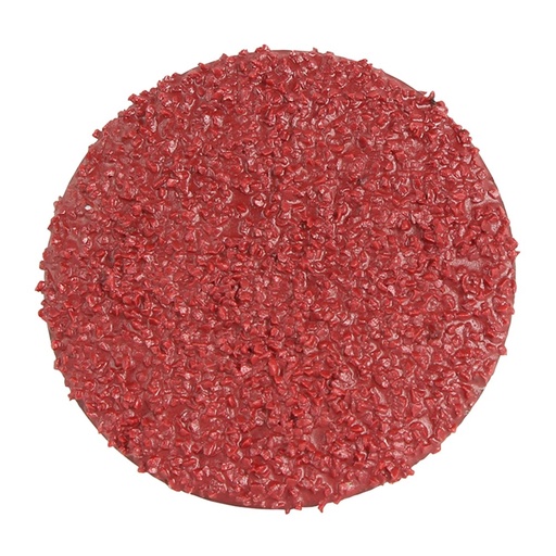 [170-GMGC5036] Grinding Disc R Type 50mm C36 Grit Ceramic Bulk