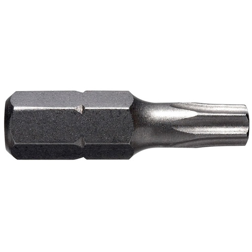 [170-TXSE4025] Torx TX40 x 25mm Tamper Proof Insert Bit
