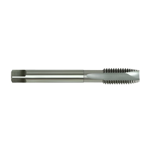 [170-MCESP050] HSS-E Tap MC Spiral Point-5x0.8