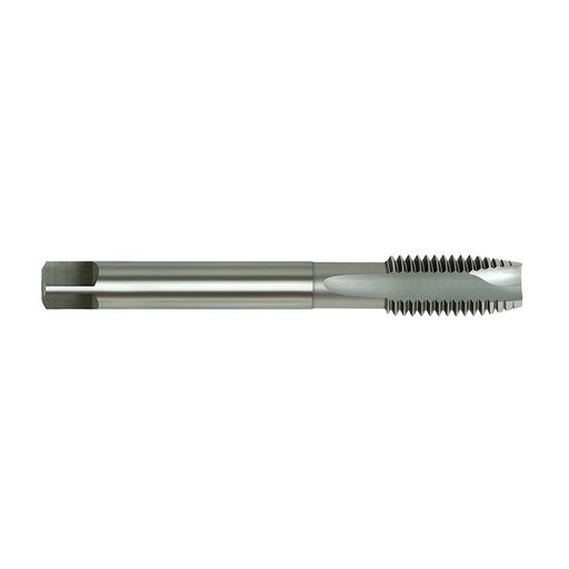 [170-MCESP060] HSS-E Tap MC Spiral Point-6x1