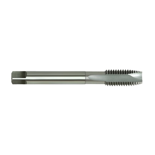 [170-MCESP070] HSS-E Tap MC Spiral Point-7x1