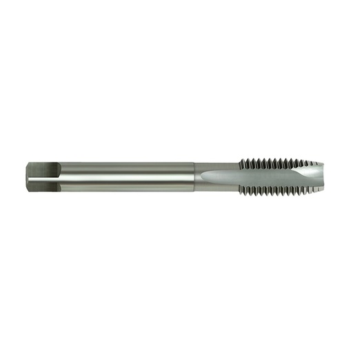 [170-MCESP140] HSS-E Tap MC Spiral Point-14x2